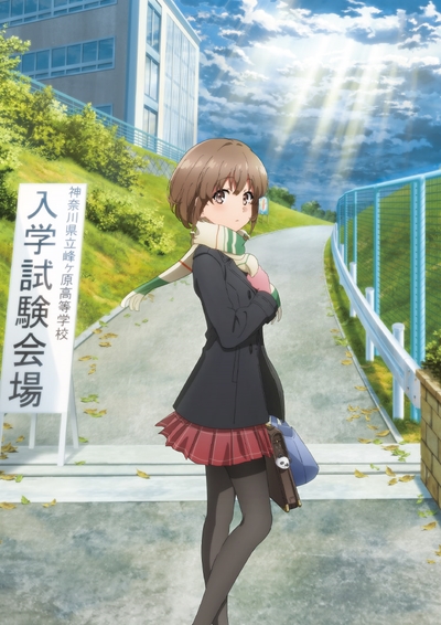 Seishun Buta Yarou wa Odekake Sister no Yume o Minai