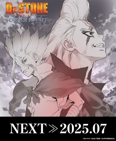 Dr. Stone: Science Future (2025)